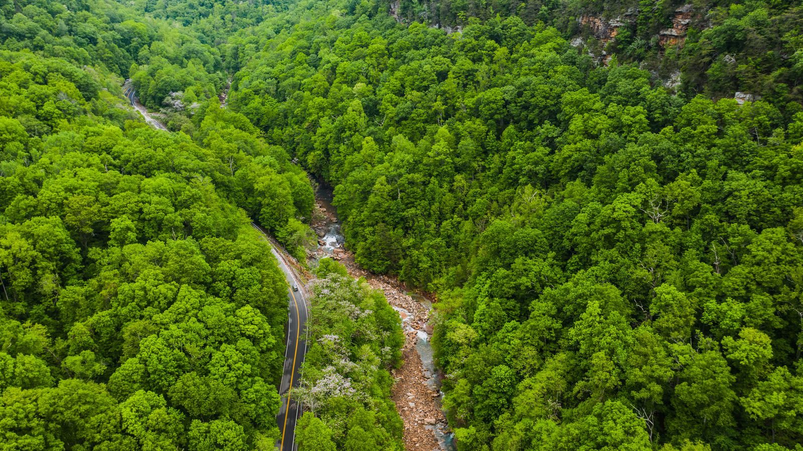 The Cherohala Skyway