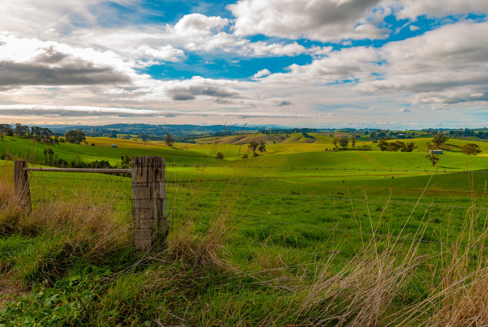 Grand Ridge Road